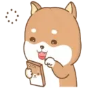 PERRITO CUTE 14
