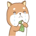 PERRITO CUTE 5