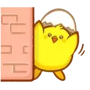 pollito chipopi 14