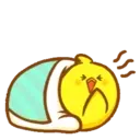 pollito chipopi 7