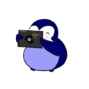 Pingüinos  mov 10