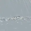 LLUVIA MOV 19