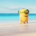 MINIONS  M︎OV 29