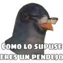 Variados chilos 5