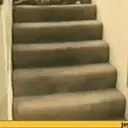 Cats 2   Mov DZ 25