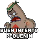 BUEN INTENTO
PEQUEÑIN