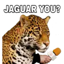 JAGUAR YOU?