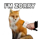 I'M ZORRY