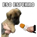ESO ESPERRO