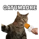 GATUMADRE