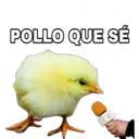 POLLO QUE SÉ
