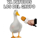 VA PATODOS LOS DEL GRUPO D