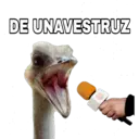 DE UNAVESTRUZ