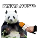 PANDAR AGUSTO