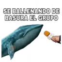 SE BALLENANDO DE BASURA EL GRUPO
