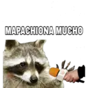MAPACHIONA MUCHO