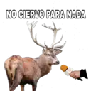 NO CIERVO PARA NADA