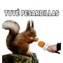 TUVÉ PESARDILLAS