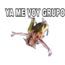 YA ME VOY GRUPO