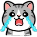 Cat Daily life Emoji 5