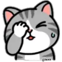 Cat Daily life Emoji 14