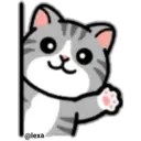 Cat Daily life Emoji 13