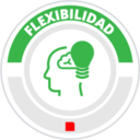 Valores de Grupo Flesan 20