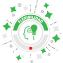 Valores de Grupo Flesan 14