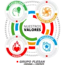 Valores de Grupo Flesan 13