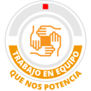 Valores de Grupo Flesan 16