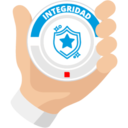 Valores de Grupo Flesan 22