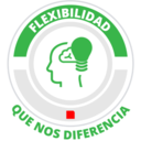 Valores de Grupo Flesan 6