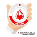 Valores de Grupo Flesan 11