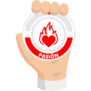 Valores de Grupo Flesan 17