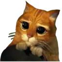 Gatos Famosos 1 30