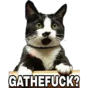 Gatos Famosos 1 7