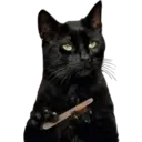 Gatos Famosos 1 23