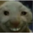 hehe 2