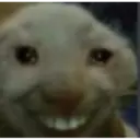 hehe 1