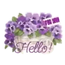 Hello 1 Movi 20