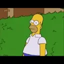 hola a homero 1