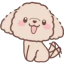 Perrito Bonito 14