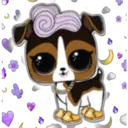 Pets LOL 17