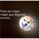 Animales 28