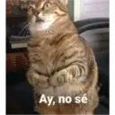 Animales 19