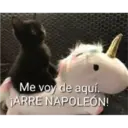 Animales 14