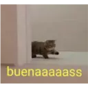 Animales 21