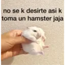 Animales 30