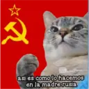 Animales 23