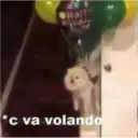 Animales 10